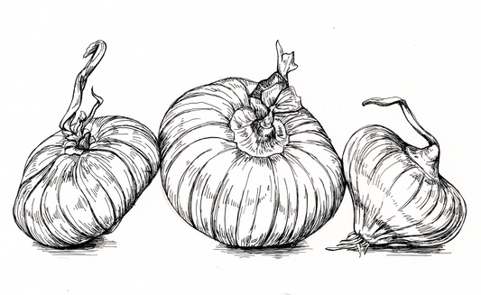 CIPOLLI ONION VINAIGRETTE